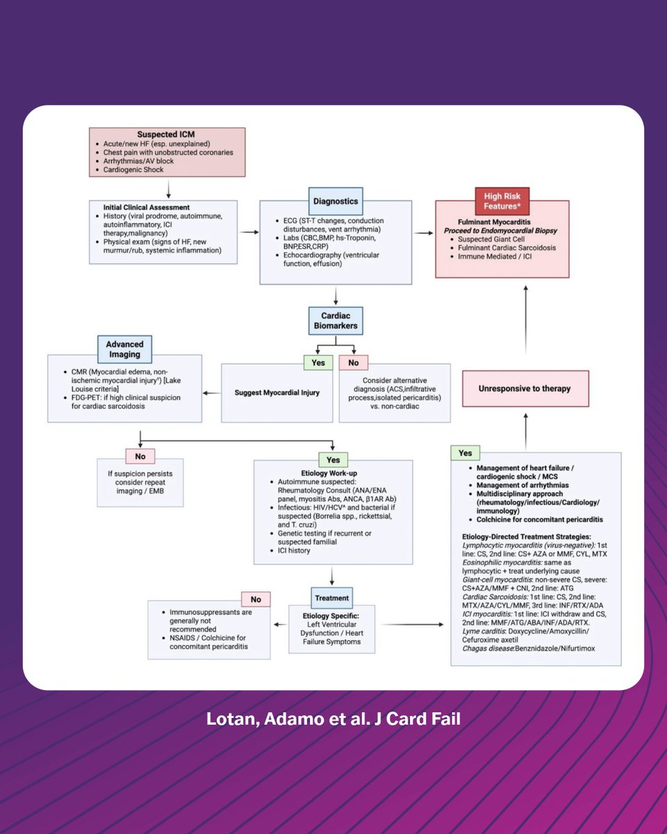 JCardFail's tweet photo. The latest State of the Art Review looks at Immune-mediated pericardial &amp; myocardial syndromes as unified spectrum: linking 🧬 susceptibility, 🌍 triggers &amp; systemic inflammation, with integrated diagnostics &amp; expanding therapies (incl. biologics).

🔗 https://t.co/7nE7hAHoCR https://t.co/cptCkQJT5o