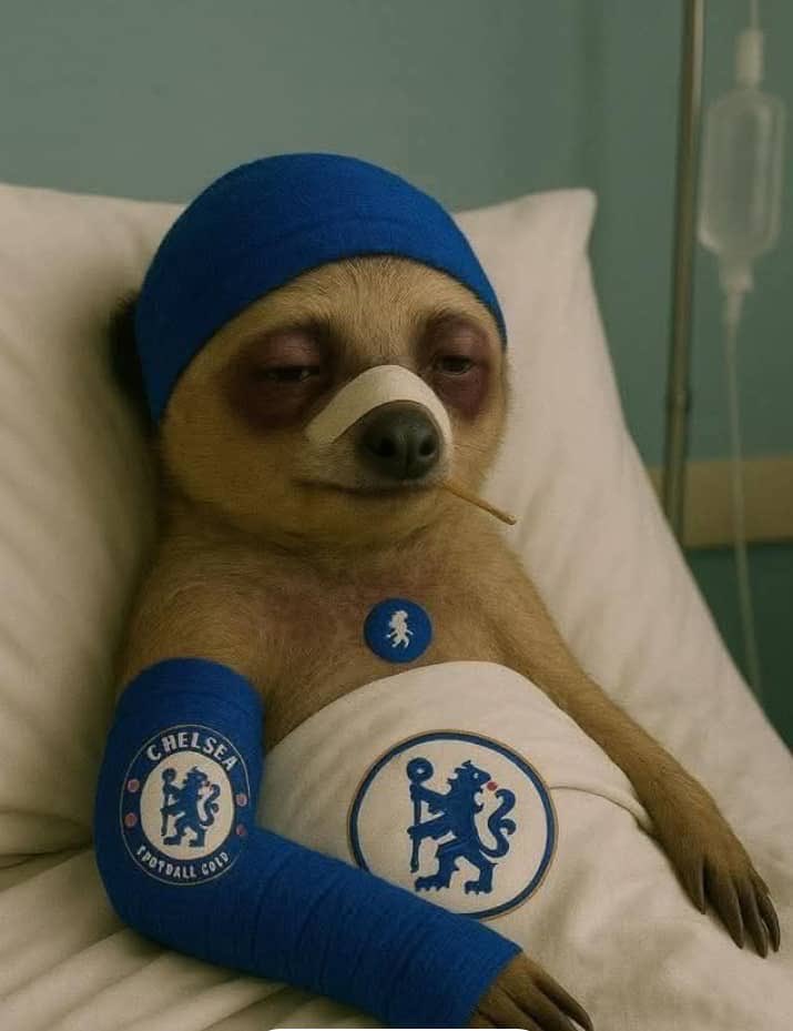 kennedy (CFC) tweet media