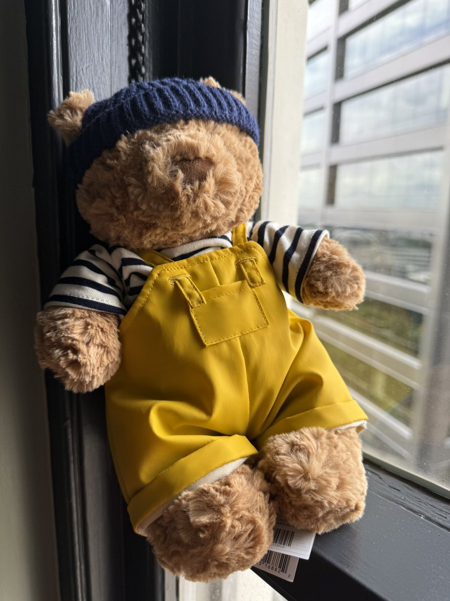 andyarcana02's tweet photo. Proud owner of my very own Ryland Grace… he’s so excited for the aquarium tomorrow! 

#projecthailmary #rylandgrace #jellycat https://t.co/5IrFmL4bOV