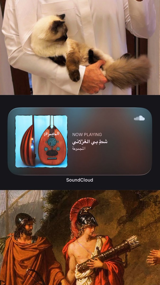 🫀⚓️ tweet media