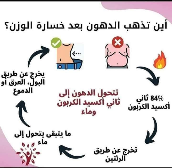 HSinawy's tweet photo. أين يذهب الدهون بعد خسارة الوزن ؟؟؟
الاجابه هنا 👇 https://t.co/NsVq8HgeRR