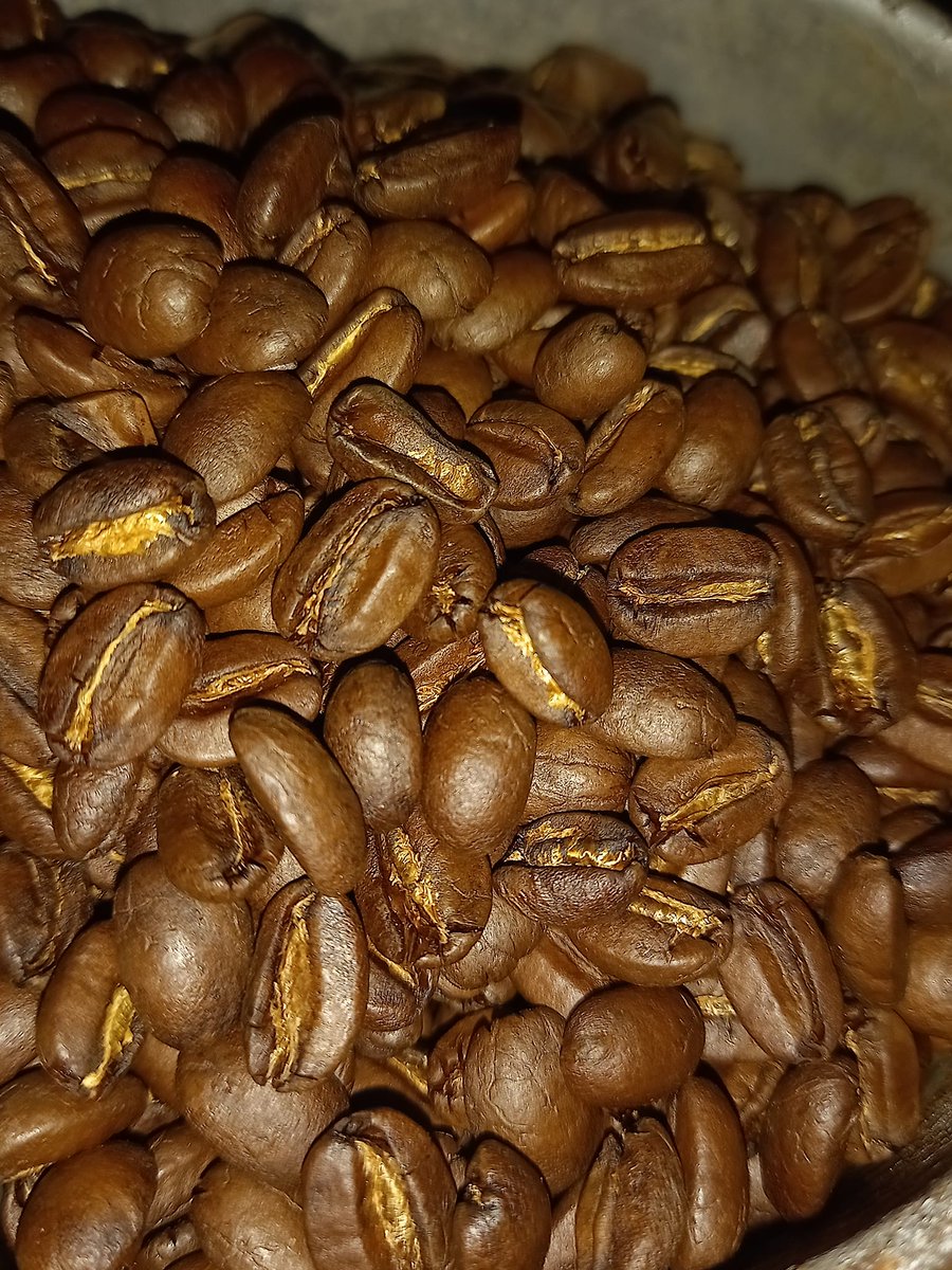 cafecasin's tweet photo. Detrás de un #cafe excepcional, hay una cadena de decisiones criticas. 
Una vez realizada la cosecha corre un tiempo de decisiones precisas que hay que manejar para lograr una extraordinaria calidad. 

Conoce mas: https://t.co/0mdakpl3cW

#cafemexicano #cafecasin #JuntosEsMejor https://t.co/5BY8IIUB02