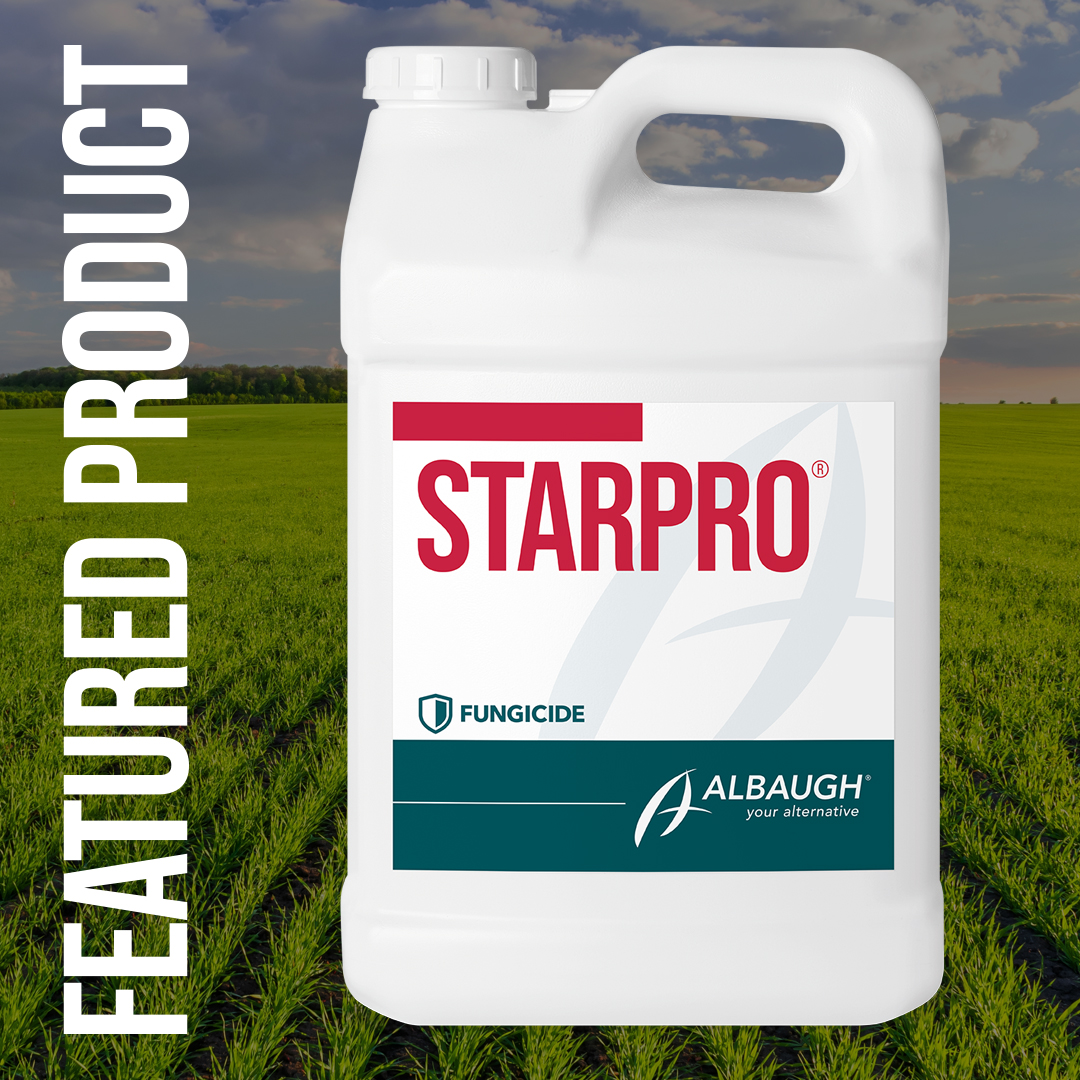 AlbaughCanada's tweet photo. Control #Fusarium head blight like a pro with StarPro®. StarPro is a broad-spectrum systemic fungicide that controls a range of diseases including FHB in your #wheat, #barley, and #triticale.  #YourAlternative

Learn more: https://t.co/zxteRN7LKd https://t.co/WtA4VHwXZJ