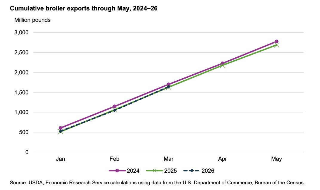 FarmPolicy's tweet photo. Year-to-date U.S. #exports for #broilers in 2026 are closely tracking the pace set in 2025, with 1,639 million pounds exported in the first quarter of 2026.
From the @USDA_ERS: https://t.co/4d4dTzfMP1 https://t.co/TDBjaURLFq