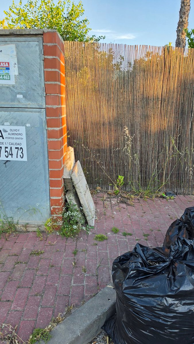 perezsaura's tweet photo. Otra vez más, algunos "jardineros" no tienen otro sitio donde dejar los restos, que la vía pública.  En avda de la Libertad de San Ginés (mitad de calle) @AytoMurcia. Hace semanas que no se retiran restos y ocupan la calzada, con riesgo para coches. @mucsostenible @MurciaPolicia https://t.co/bEQoOktb5k