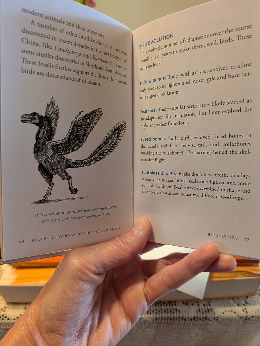 GizmoduckFan's tweet photo. @nao0o0o 🐥🟰🦖 Lol Thought I share this with you 😉 I got this cool Bird 🐦💕 Book 📖 called Stuff Every Bird Lover Should Know. And it talks about that birds are related to Dinosaurs 😆 Lol Kinda cool and interesting to know about that. Huh Mame-chan 🤗 https://t.co/rdIDRVOkmH