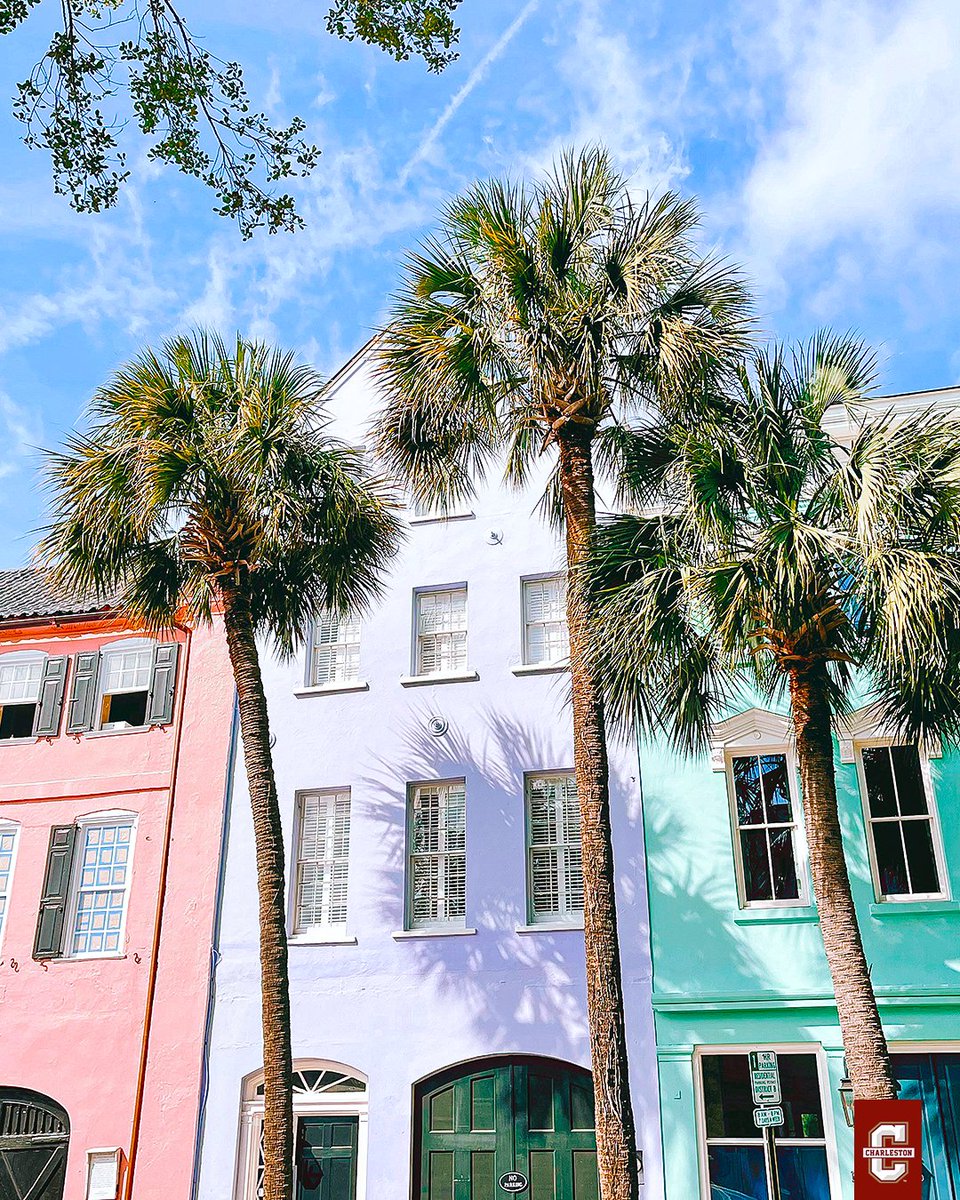 CofCVolleyball's tweet photo. 📍 Home

#TheCollege 🌴🏐 https://t.co/4bh7ndZUvx