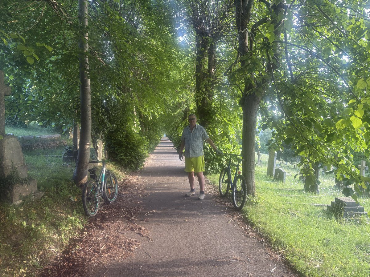 AlexTustin's tweet photo. Looking for Elderflowers for cordial. #hedgerowjuice  #Wycombe https://t.co/7aY4D9NwT8