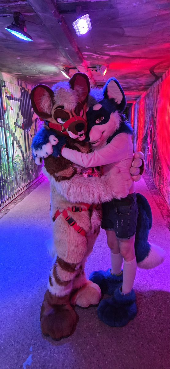 Solo AWD/ Ruki Fox ๐ CFz tweet media
