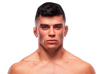 UFC FIFTH ROUND tweet media