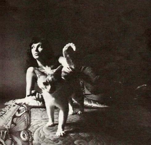 arquivokt's tweet photo. Kate Bush e seu gato https://t.co/KRSjXjMbFq