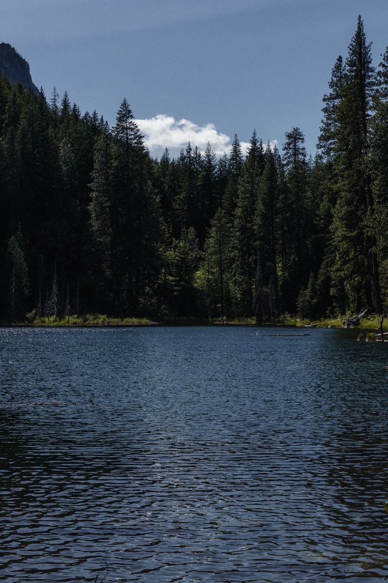 blodgrevinnen's tweet photo. lovely lovely pnw https://t.co/BKmzMDGTRM