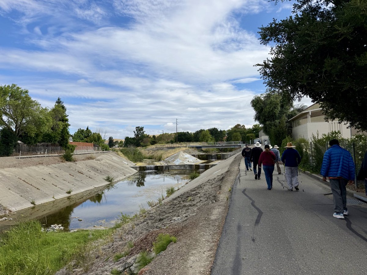hoppes1949's tweet photo. Accompanied by the incessant din of gas-powered leaf blowers, did four miles with my Wednesday hiking group on the Alamo Canal Trail in Dublin. Birding not bad with 27 species, best was a Spotted Sandpiper. https://t.co/Us6PJT5nAp