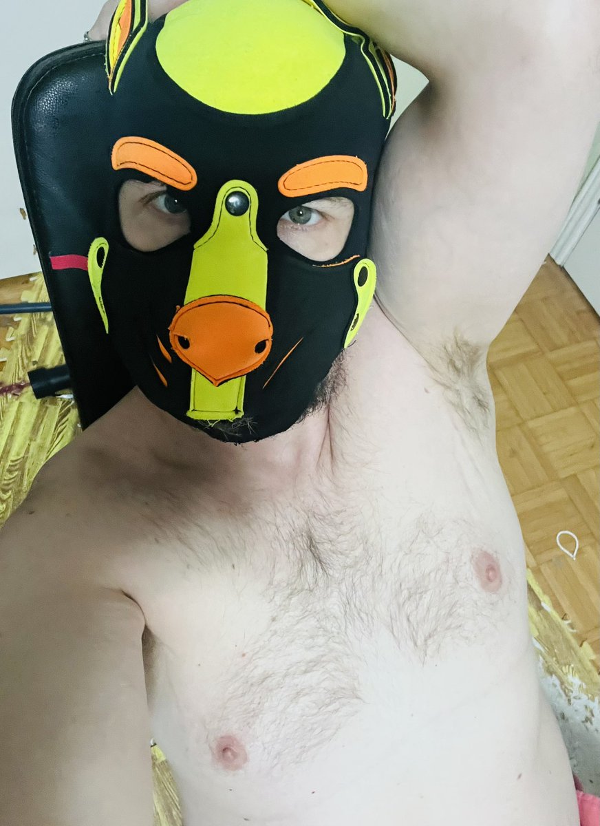 DaddyPupZee's tweet photo. Sniffs? https://t.co/kufKx1ogKV