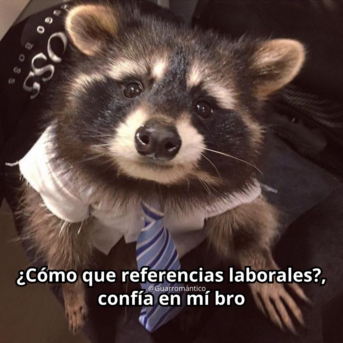 El Guarromántico tweet media