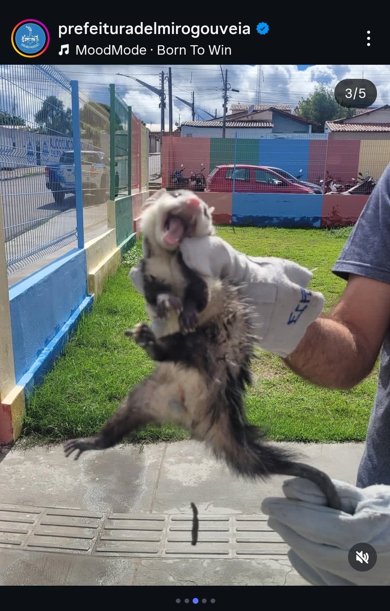 juanz0o's tweet photo. gostaria de pedir #PJL pelo cassaco capturado em Delmiro Gouveia, ninguém deveria ser abordado assim sem provas criminais https://t.co/mruZa7sOZJ