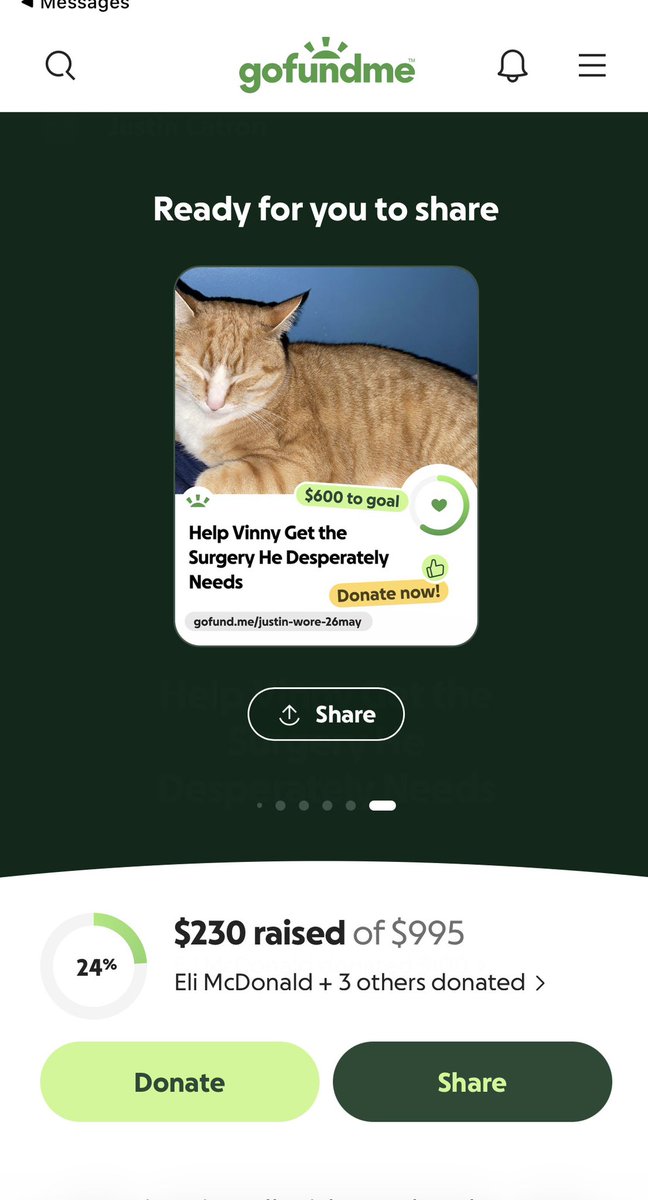 Po0ochie's tweet photo. Will someone please help a girl out? My cat Vinny has been deathly sick the past 4 days in and out of the emergency vet.. I’ve spent everything I’ve had saved up for him.. and idk what to do anymore this is my last resort idk if this is scams or whatever but I need help, dm me? https://t.co/R7I5JRQzOO