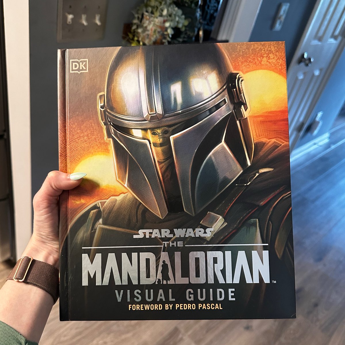 StarWarsExplain's tweet photo. Excited to dive into this! https://t.co/hSDdeIbeqA