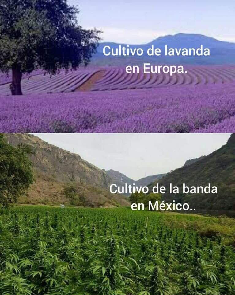 Víctor tweet media