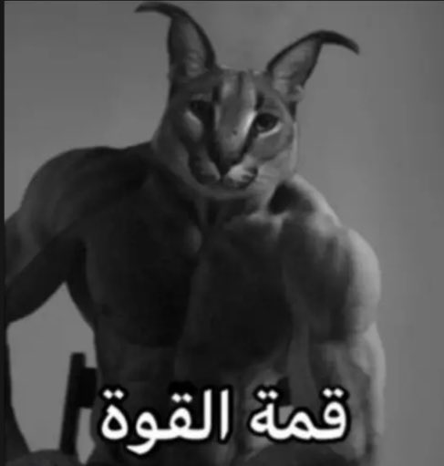 السلف تاو | ارادة الحقيقة tweet media