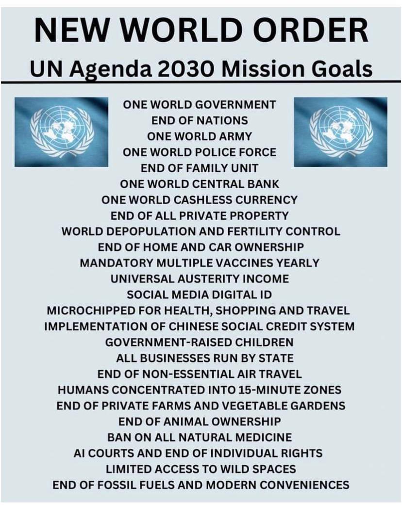 Not a sheep tweet media