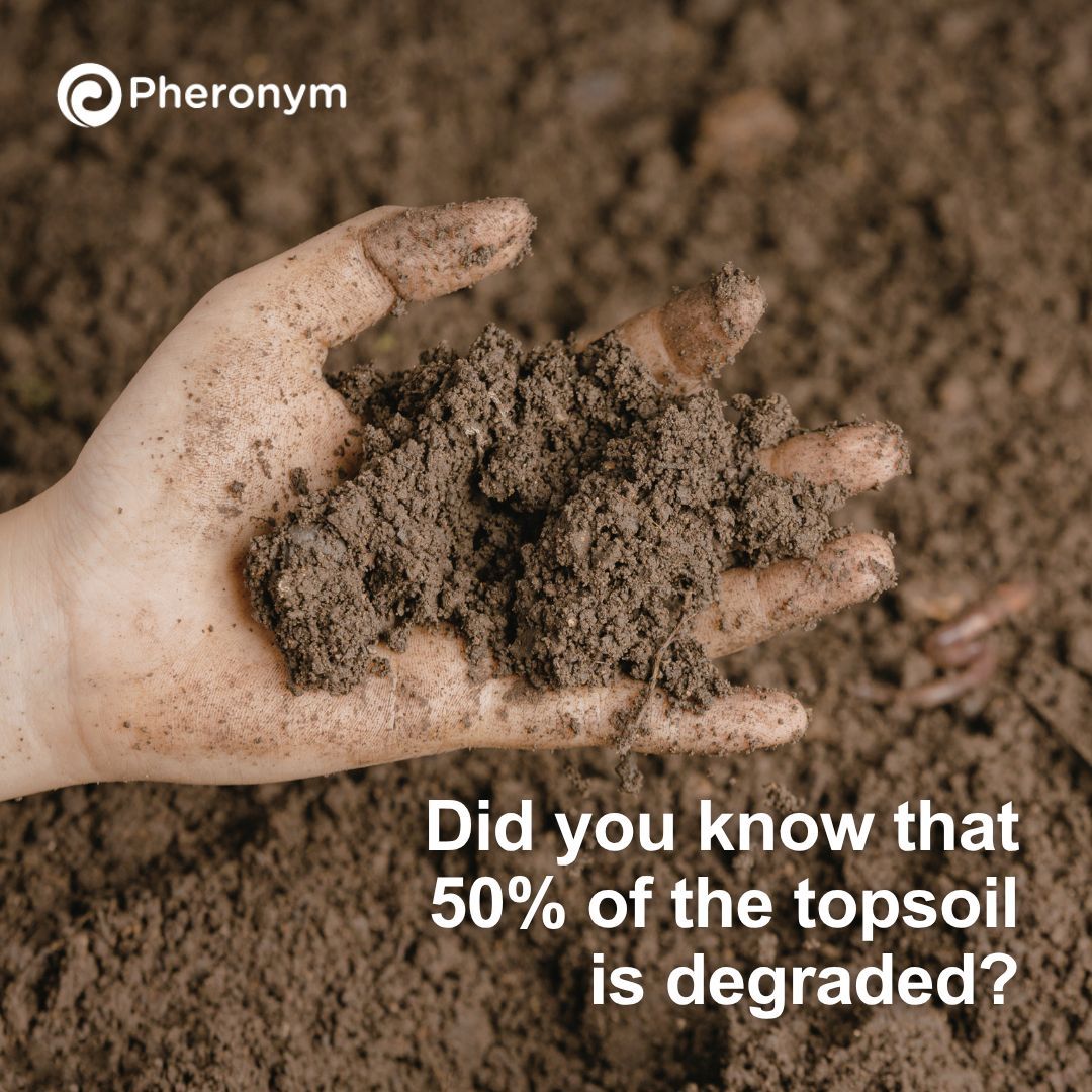 pheronym's tweet photo. 🚨 50% of the topsoil is degraded 🚨

To produce food and fiber, farmers need new sustainable solutions. That's where we come in. At Pheronym we are unlocking pheromones’ full potential in agriculture.

Discover what we're doing to help farmers 🔎 https://t.co/VO86Nmf0QF https://t.co/jMcapq3HYu