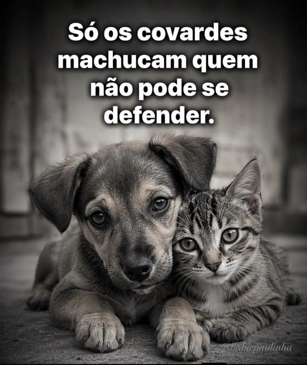Gerda Belém tweet media