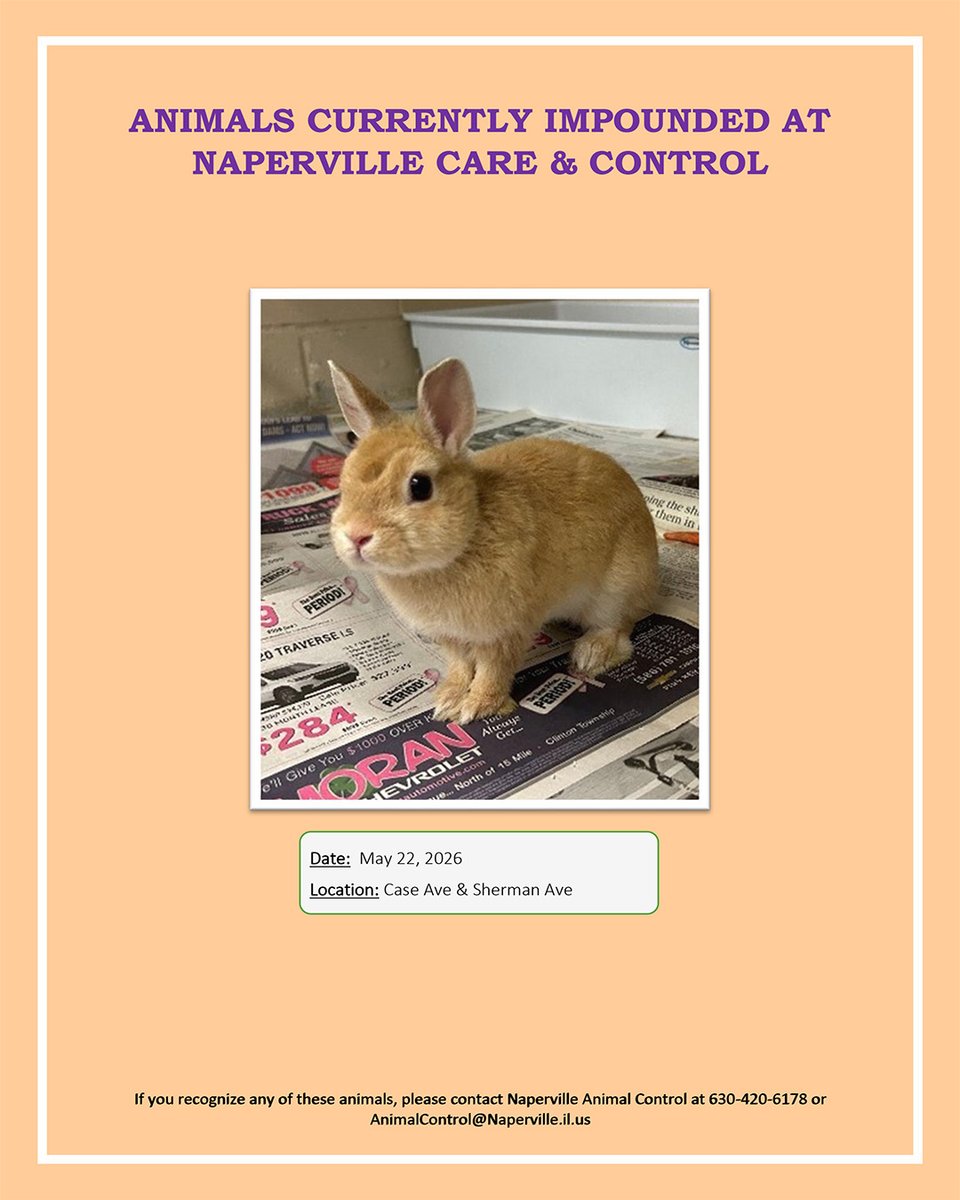 NapervillePD tweet media