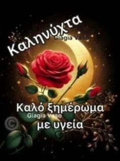 ΕΛΕΝΗ ΛΙΑΝΟΥ tweet media