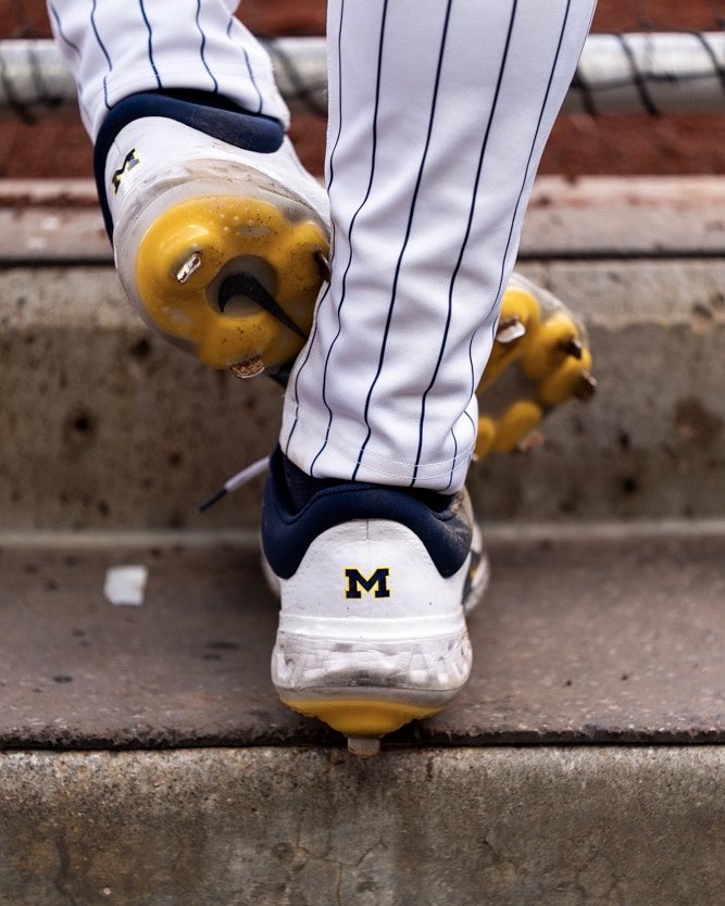 Big Ten Baseball tweet media