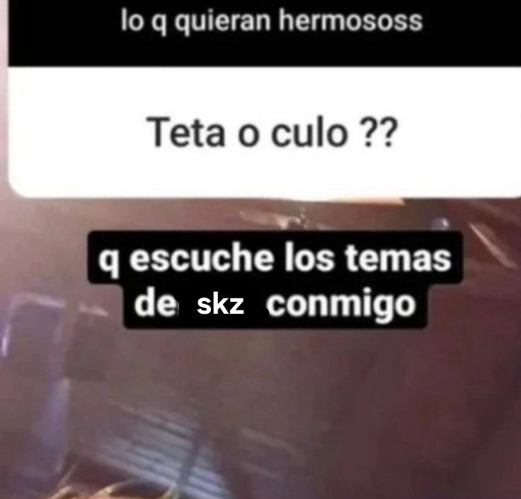 florr | VA A VER A SKZ🇦🇷 tweet media