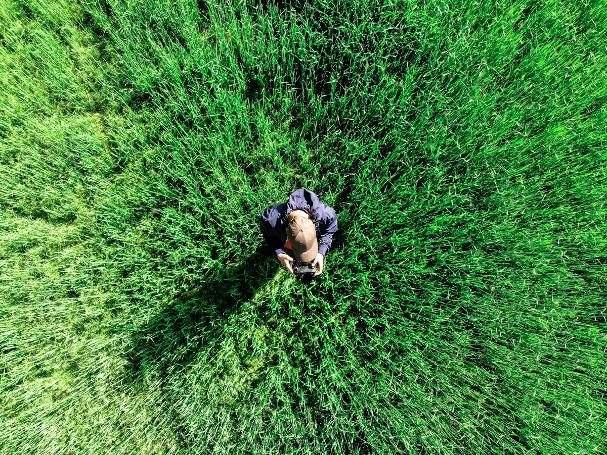 DRONEShowLA's tweet photo. Drones e geoprocessamento aplicados à perícia,  gestão e conformidade ambiental - assista ao vídeo com a gravação da Live na íntegra: https://t.co/iilZ25yERu https://t.co/WwiZA8yh8s