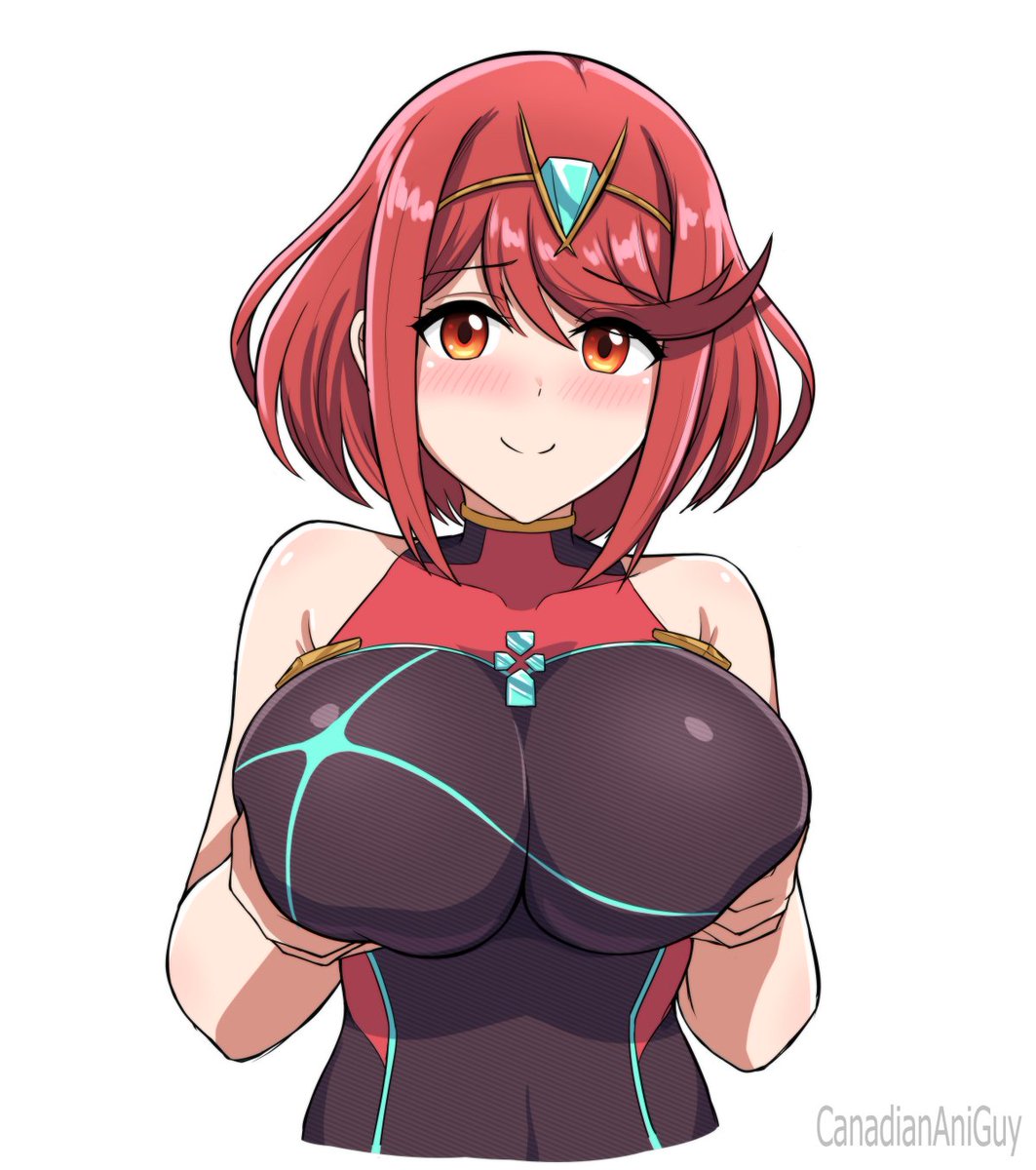 CanadianAniGuy's tweet photo. Would you play with Pyra's Xenoblade 2 switch pro controller? https://t.co/qho4KtoyI0