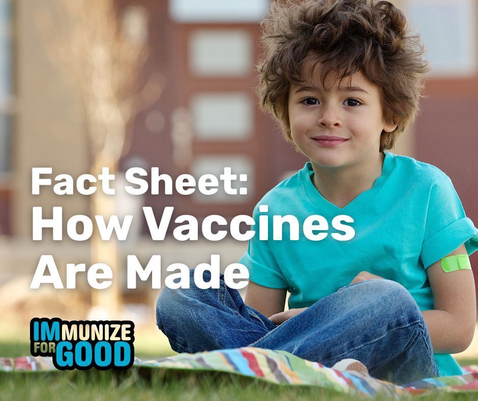 ImmunizeCO's tweet photo. Curious how vaccines are made? This new fact sheet summarizes the vaccine development process and arms parents with the facts so they can be confident in their decision to vaccinate their child and #ImmunizeForGood!

Check it out --> https://t.co/KZ8iq6hlbJ https://t.co/5LzsSAYNTg