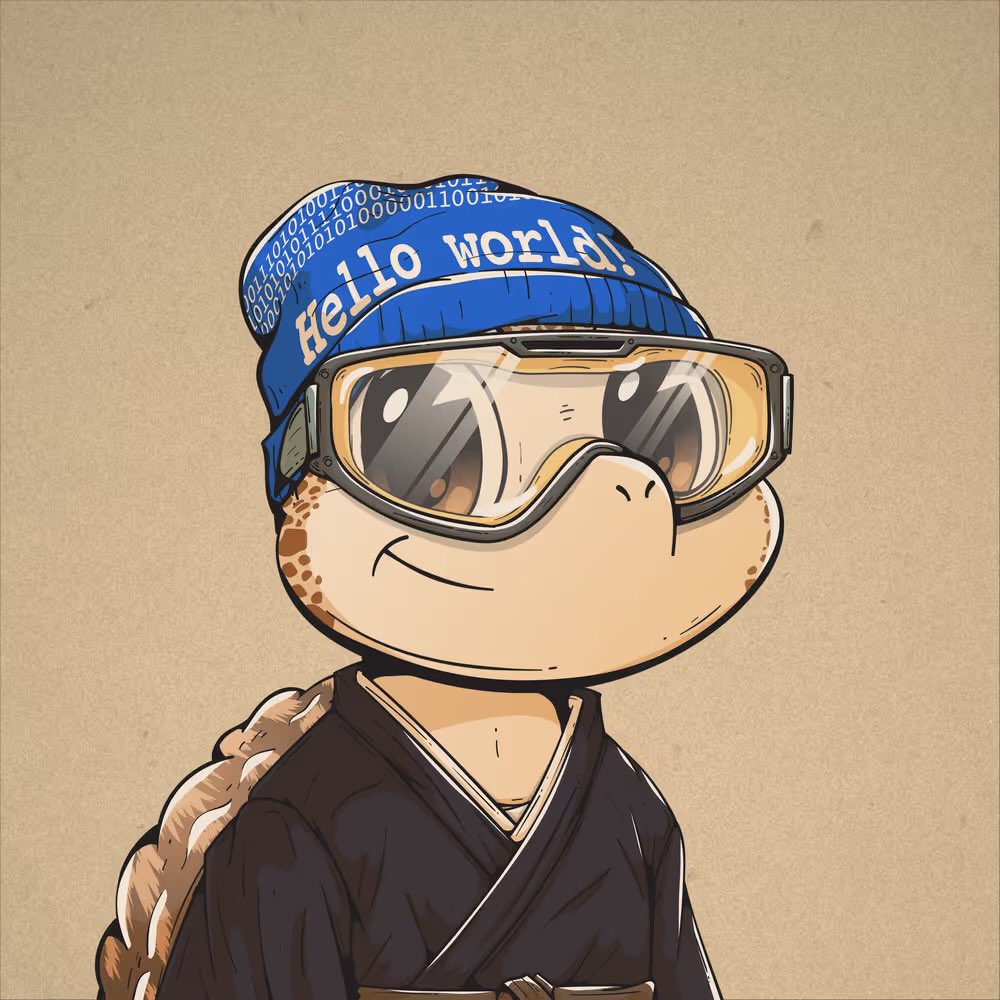 Ty0xide's tweet photo. It’s turtle season https://t.co/qH05xzSylO