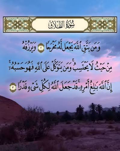 Ibrahim 🔻 tweet media