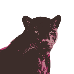  𝙷𝙰𝚁𝚁𝚈. tweet media