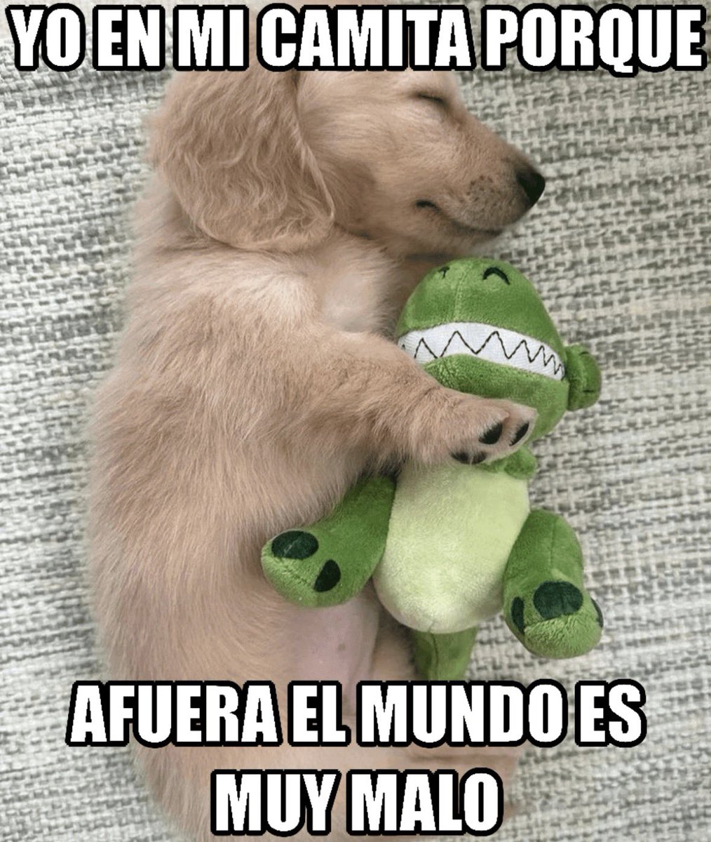 Canek tweet media