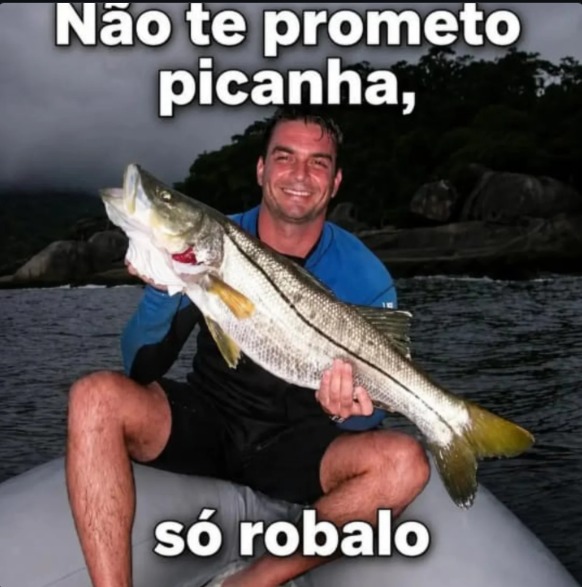 GUTO tweet media