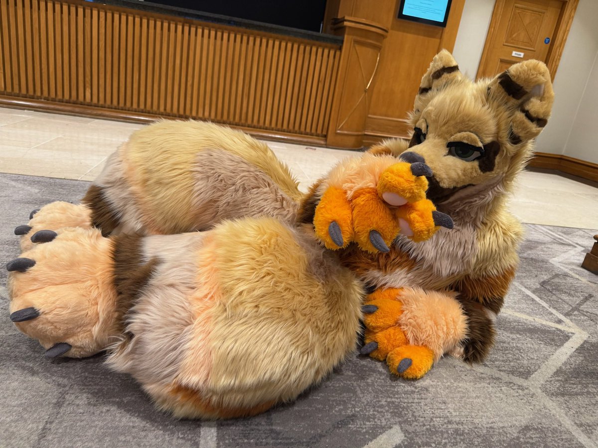TangoTheWolf4's tweet photo. you are now my subject! get ready for more pictures of my time at confuzzled ☺️

~ I miss it already! 

#foryou #furry #confuzzled https://t.co/f74rPjZv3A