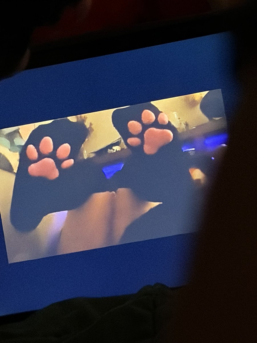 pawzz tweet media