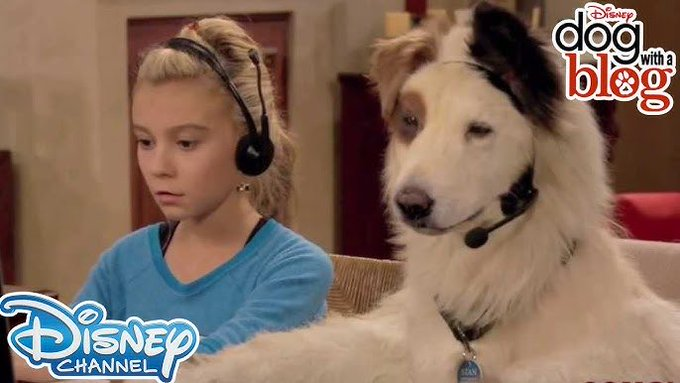 TorontoJohn3's tweet photo. the father of the BV #DWAB #beev https://t.co/ZQlh4VtKZ7