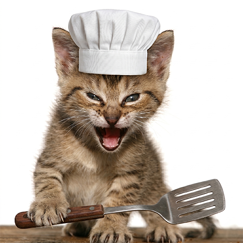 tygrcoin's tweet photo. let him cook https://t.co/8JDDwtj6hu