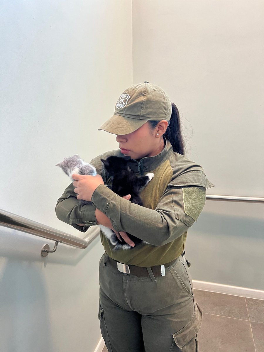 Carabineros Región de Antofagasta tweet media