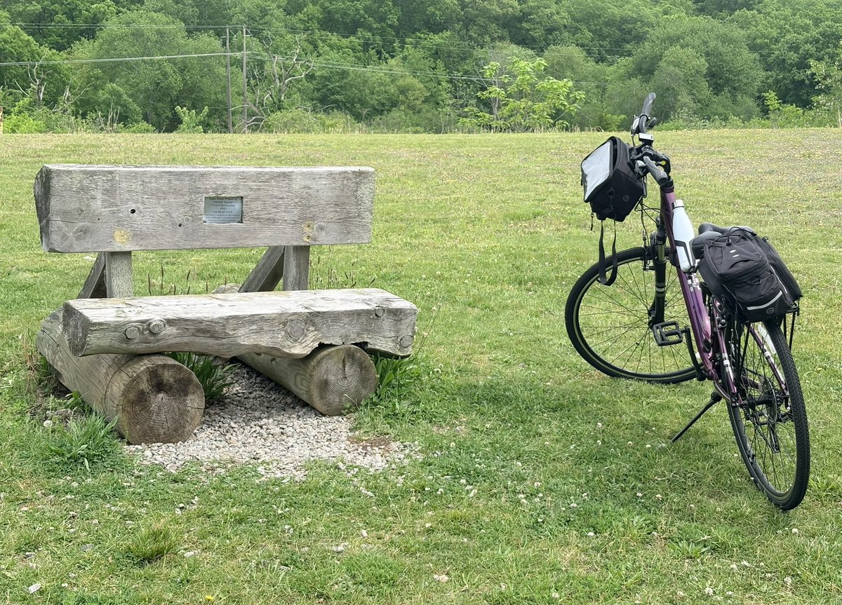 LSBofEBB's tweet photo. It's a wildflowers along the trail kind of day with a couple of glimpses of deer along the ride.
#RhodeIsland #iphonepic #bikeride #getoutsideandmove https://t.co/McXMUGfh9L