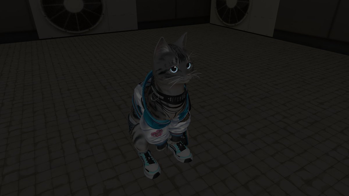 竜哉【VR】 tweet media