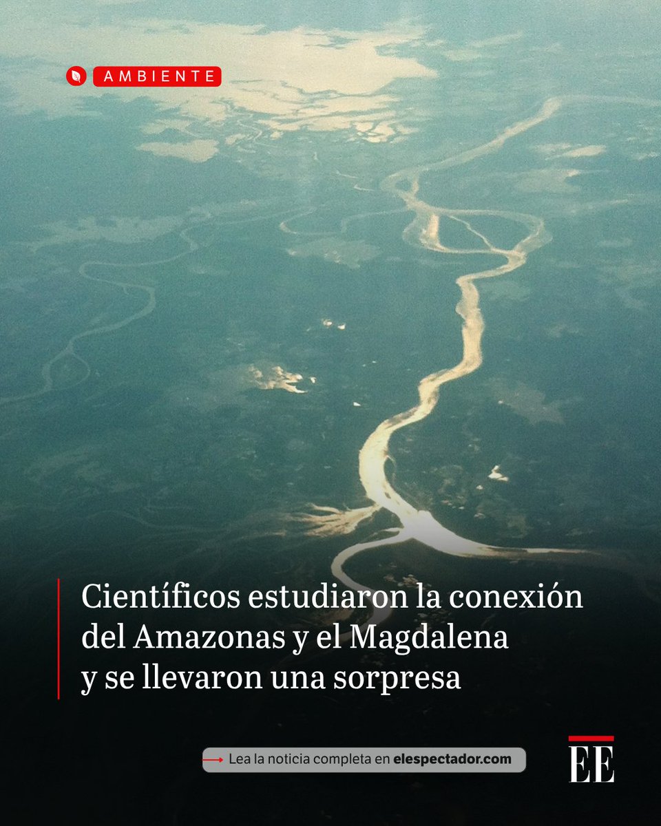 El Espectador tweet media