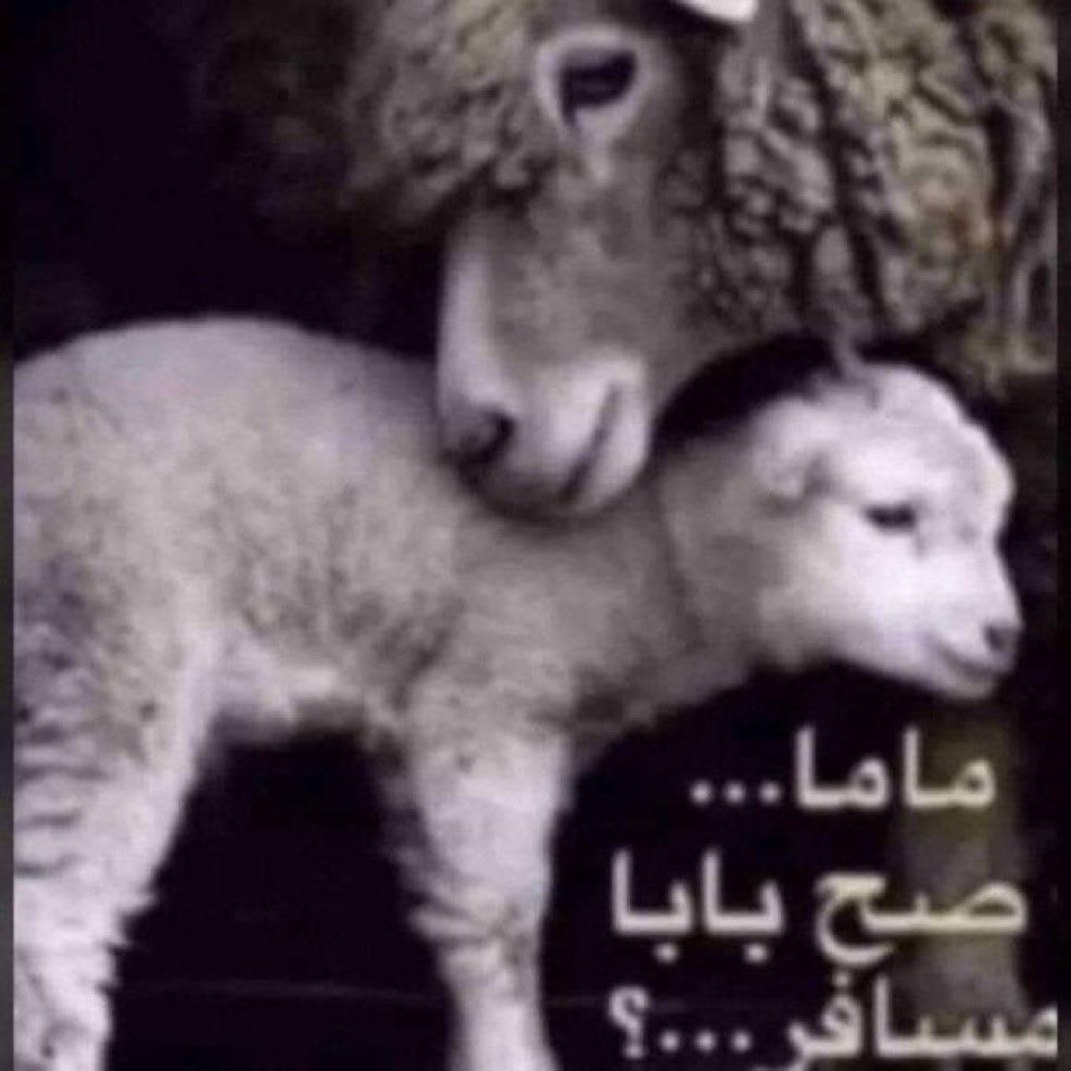 itfaya's tweet photo. https://t.co/GBAq2xpal8