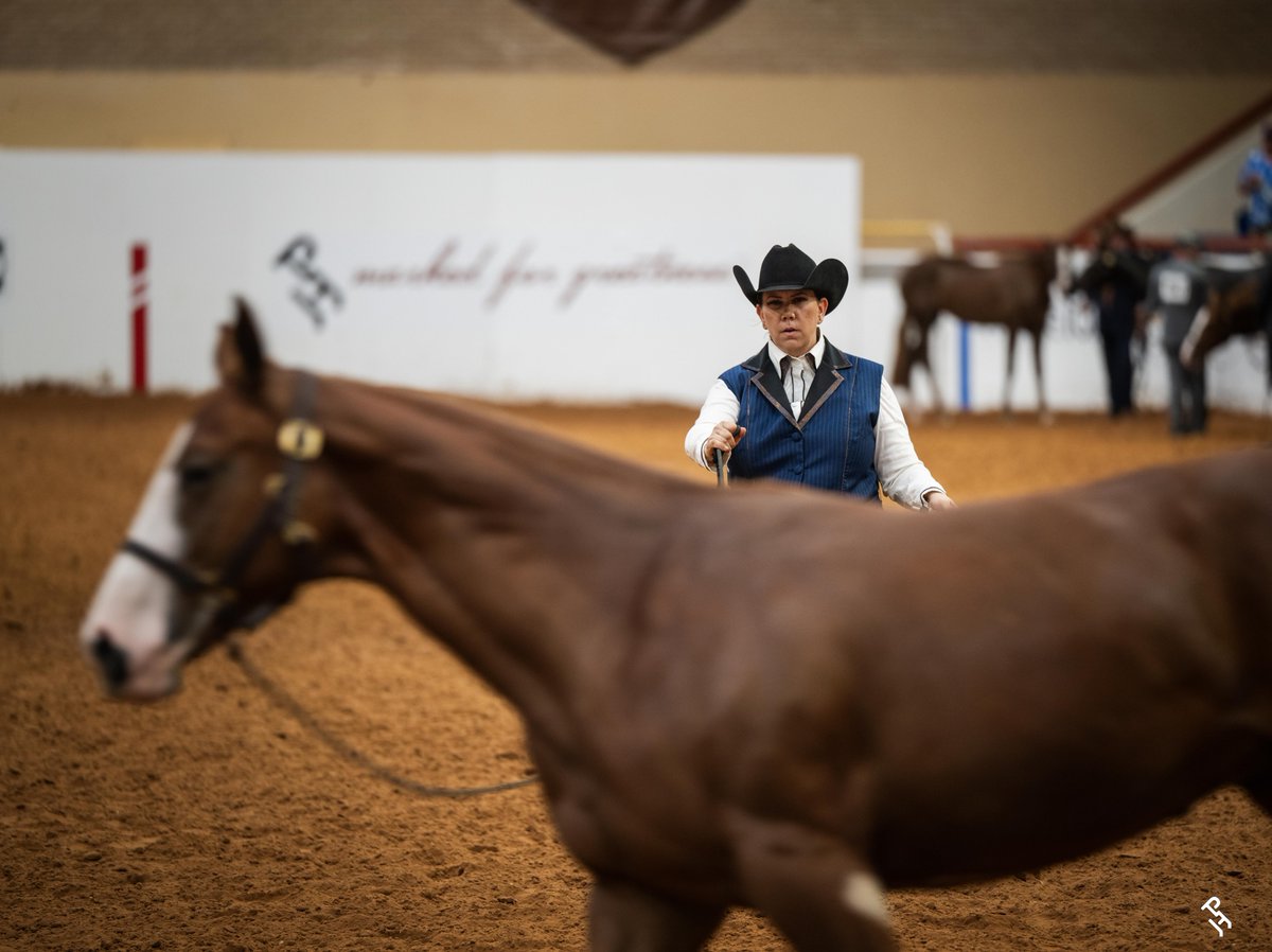 APHAnews's tweet photo. The June 1 deadline for the second Breeders' Futurity Performance payment is approaching for the Gold Breeders’ Futurity classes at the 2026 APHA World Championship Show. 📢

Find yourself in the payout 🔗 https://t.co/nHsPTF5xtr

#MarkedForGreatness | #APHA | #PaintWorld2026 https://t.co/j5DqS0oW5U