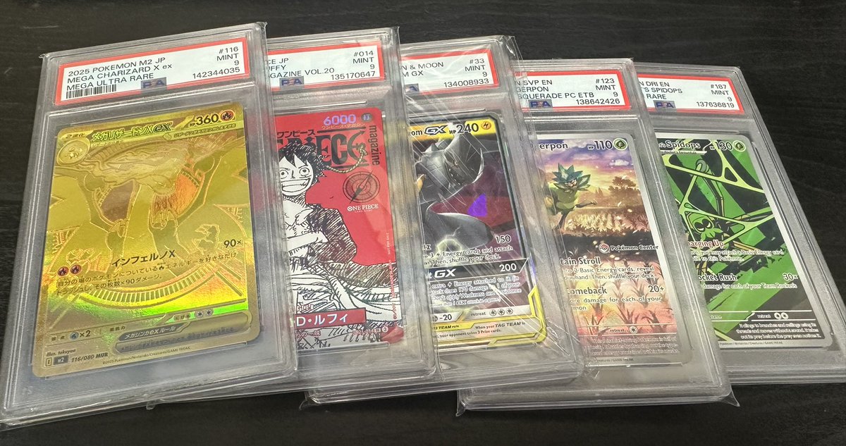 cats collectibles tcg tweet media
